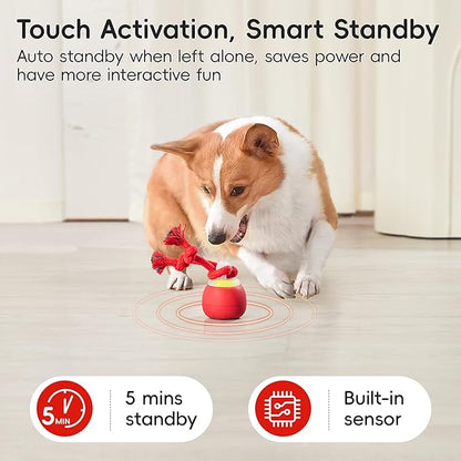 Potaroma Interactive Dog Ball Toys Touch Activated, Rechargeable, Squeaky Dog - Image 4