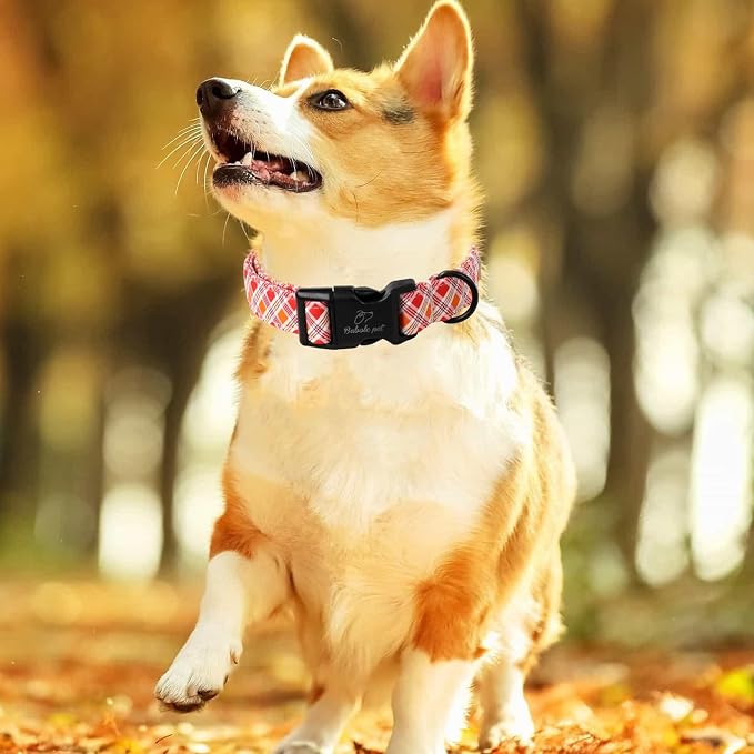 Fall Dog Collar, Fall Orange and Red Plaid Puppy Collar, Adjustable Cotton - Image 2