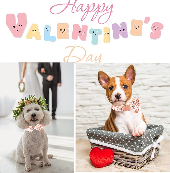 UP URAR PUP Valentine's Dog Collar - Image 6