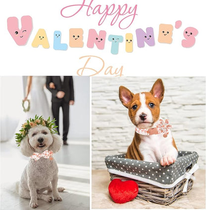 UP URAR PUP Valentine's Dog Collar - Image 6