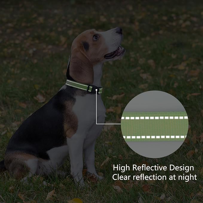 Reflective Dog Collar Padded - Image 5