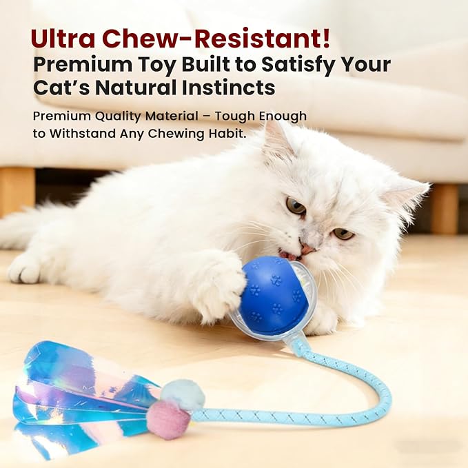 Rocfish Durable Interactive Cat Toys - Image 5
