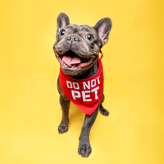 Do Not Pet Dog Bandana - Image 2