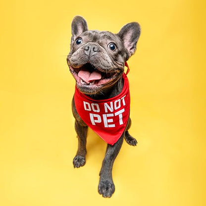 Do Not Pet Dog Bandana - Image 2