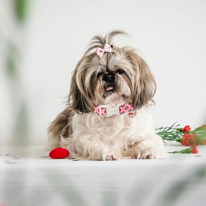 Valentines Dog Collar for Small Dogs - Image 2