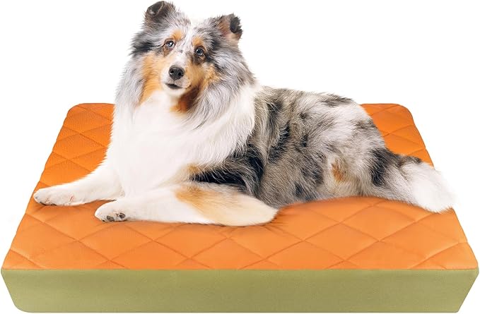 35.5" x 23.5" x 4.7" Large Orthopedic Dog Beds, Waterproof Faux Leather Memory by PawLibero