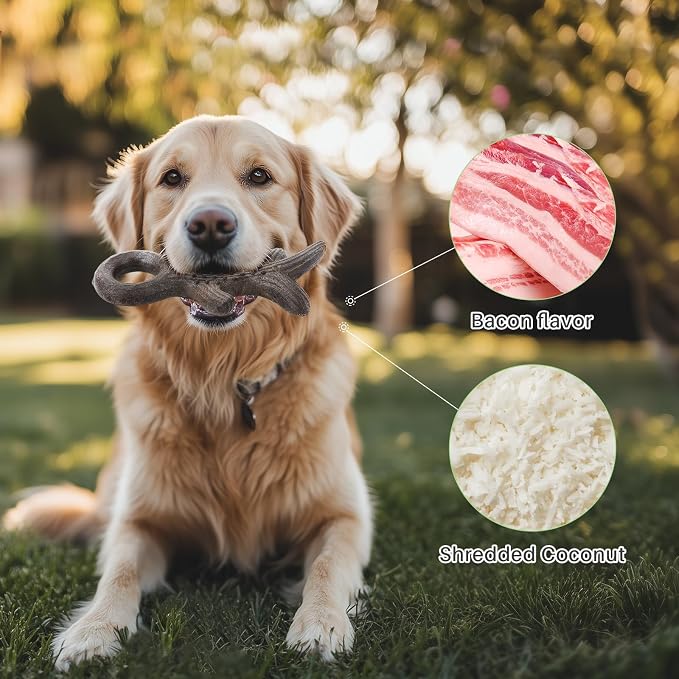 Gardner Pet 4-Pack Dog Chew Toy, Long Lasting Interactive Dog Toys Add Shredded - Image 3