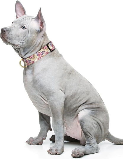Reflective Dog Collar for Medium Dogs, Cute Flower Theme Adjustable Heavy-Duty - Image 2