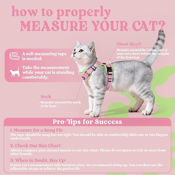 rabbitgoo Cat Harness and Leash - Image 2