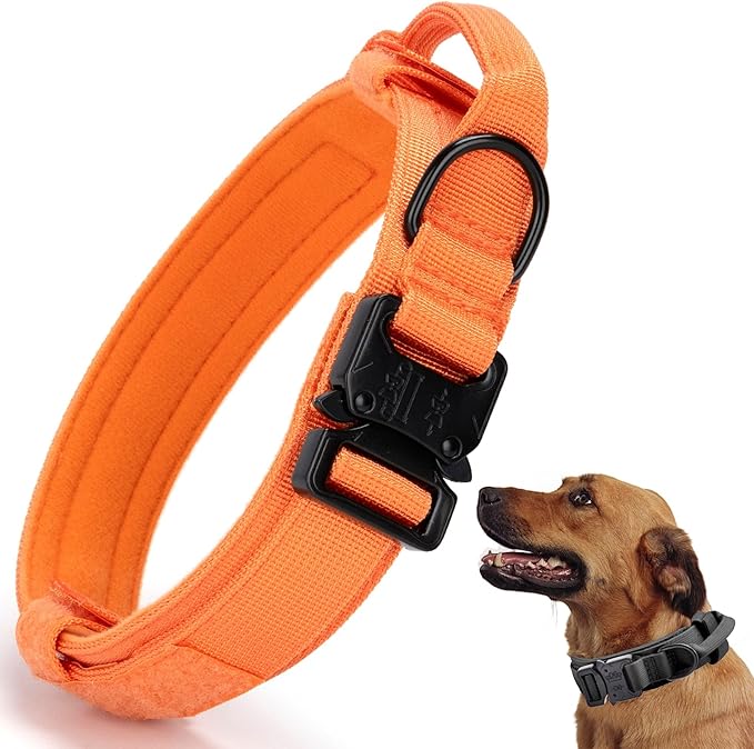 Tactical Dog Collar, Adjustable Military Training Nylon Dog Collar by CADONO
