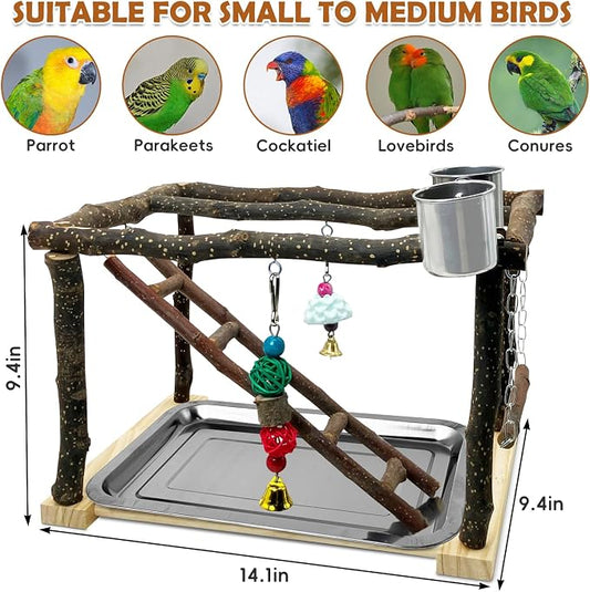 Tfwadmx Parrots Playstand Bird Play Gym Cockatiel Playground Wood Perch Stand - Image 2