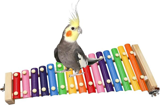 Dnoifne Colorful Bird Xylophone Toy, Funny Xylophone Toy by Dnoifne