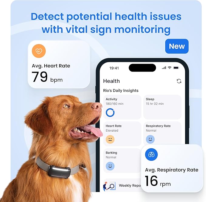 Tractive Smart Dog GPS Tracker | Live Pet Tracker - Image 4