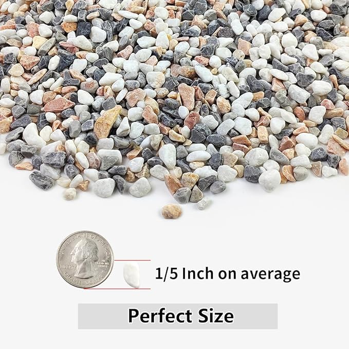 10LB Succulent and Cactus Gravel Pebbles, 1/5 Inch Natural Decorative Polished - Image 2
