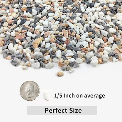 10LB Succulent and Cactus Gravel Pebbles, 1/5 Inch Natural Decorative Polished - Image 2