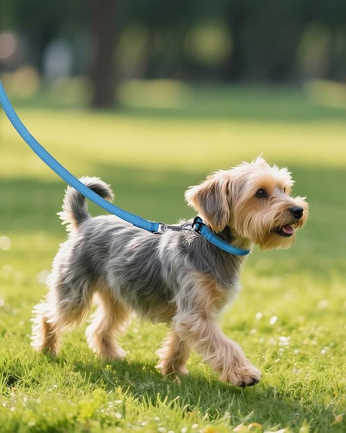 Joytale Small Dog Collar, Reflective and Adjustable Nylon Collar - Image 6