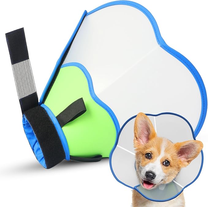 Hard & Heavy Plastic Dog Cone Collar Alternative by Unknown