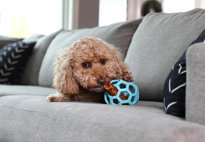 JW Pet HOL-ee Roller™, Dog Toy Puzzle Ball, Natural Rubber - Image 3