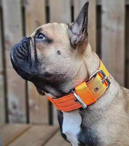Heavy Duty Tactical Dog Collar - Image 7