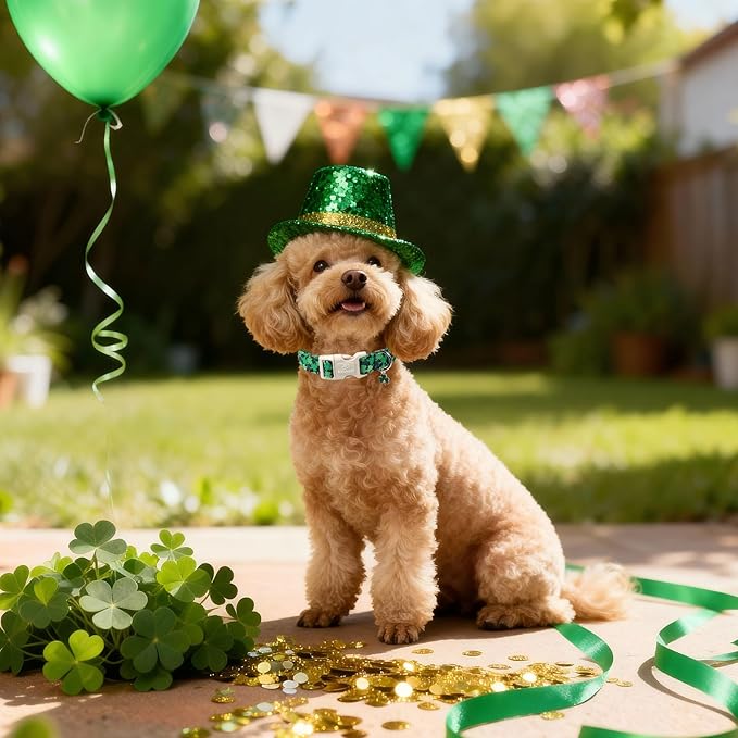 St Patricks Day Dog Collar for Medium Dogs - Image 3
