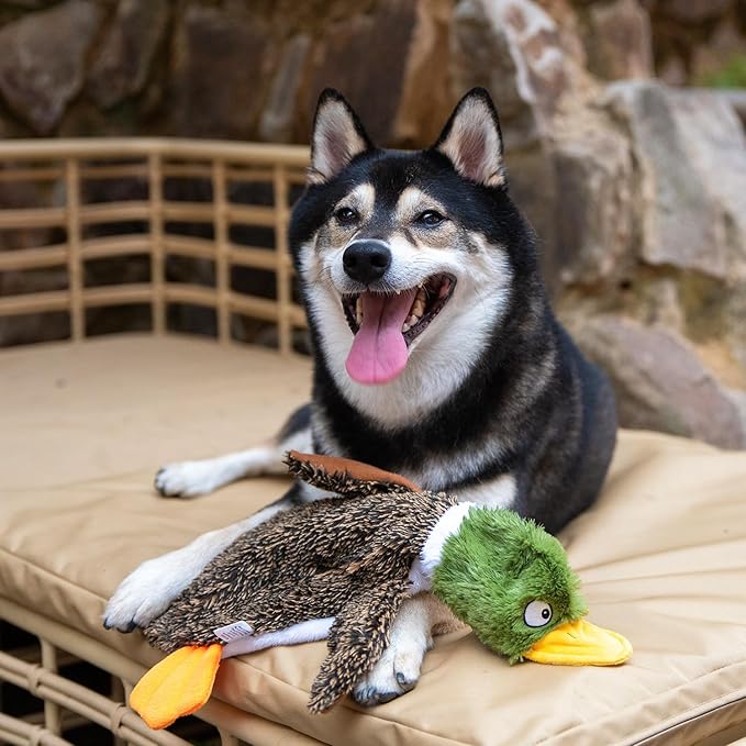 Best Pet Supplies Squeaky Dog Toys - Image 6
