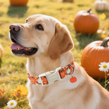 DOGWONG Fall Pumpkin Dog Collar- Cute Daisy Pumpkin Dog Collars Adjustable - Image 4
