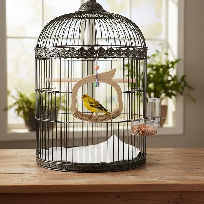 Wooden Bird Swing Perch Toy for Small and Medium Parrots, Natural Wood Ring - Image 3