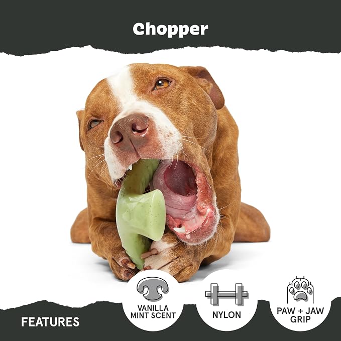Barkbox Super Chewer Tough Dog Chew Toys - Image 4