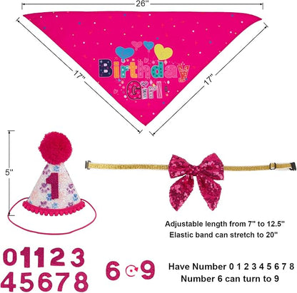 PTDECOR Dog Birthday Party Supplies, Girl Dog Birthday Hat - Image 4
