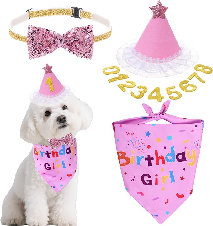hoyuwak Dog Birthday Party Supplies Girl Boy Dog Birthday Bandana Bow Hat by hoyuwak