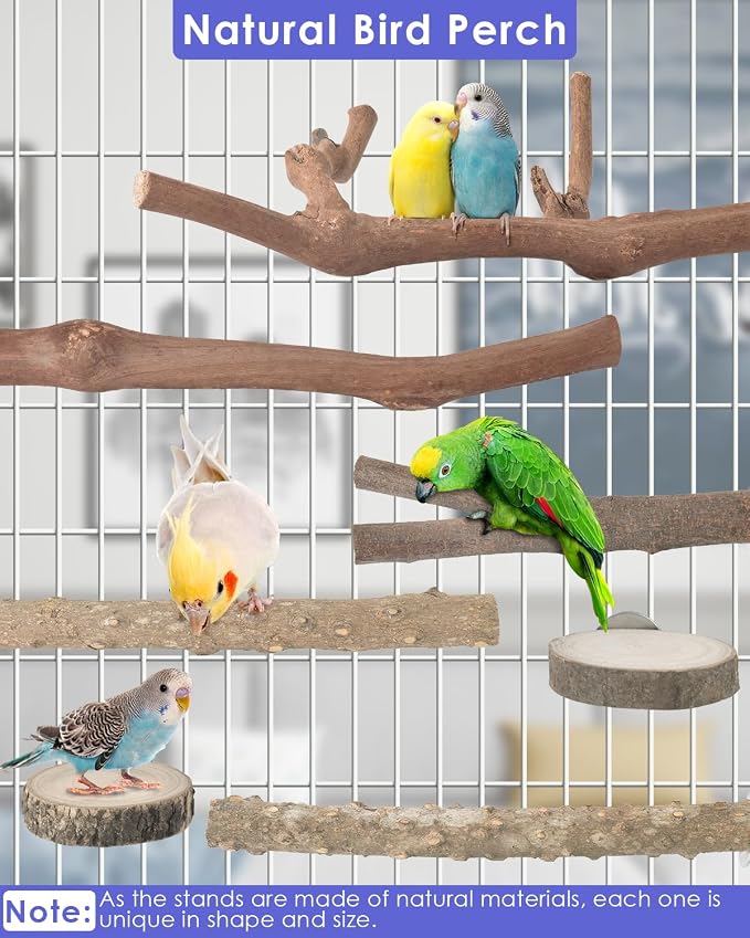 Bissap Bird Perch Stand 7PCS, Natural Grape Wood Pole Standing Parrot Cage - Image 3