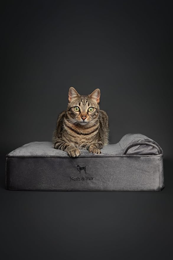 NOAH & PAW Small Dog Bed, Cat Bed - Image 2