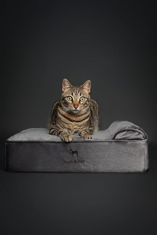 NOAH & PAW Small Dog Bed, Cat Bed - Image 2