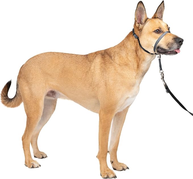 PetSafe Gentle Leader Headcollar No-Pull Dog Collar by PetSafe