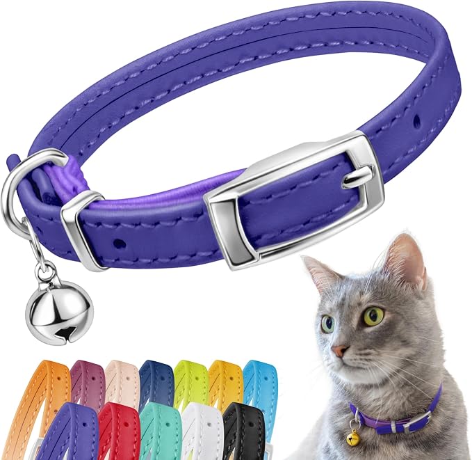 CollarDirect Leather Cat Collar by CollarDirect