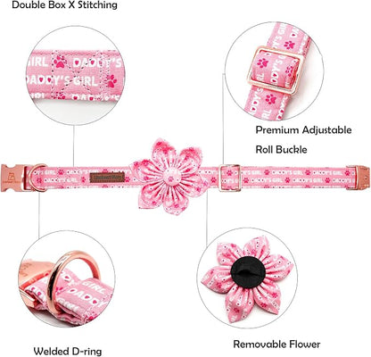 Lionheart glory Valentine's Day Dog Collar - Image 2