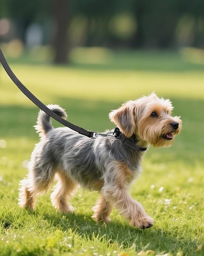 Joytale Small Dog Collar, Reflective and Adjustable Nylon Collar - Image 6