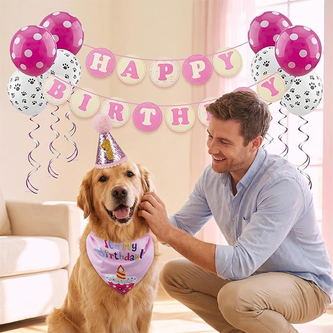 Pet Birthday Party Set, Dogs Bandana and Dog Birthday Hat - Image 3