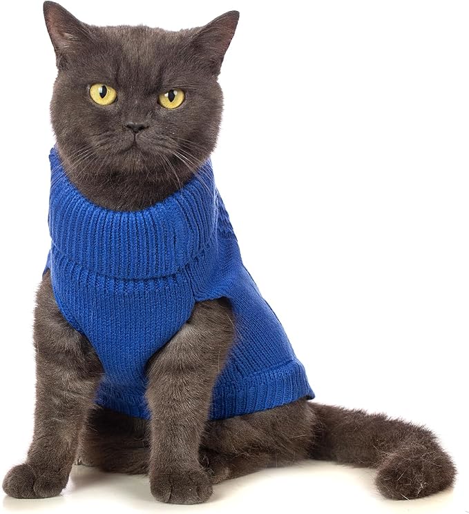 Stretchy Cat Sweater - Image 3