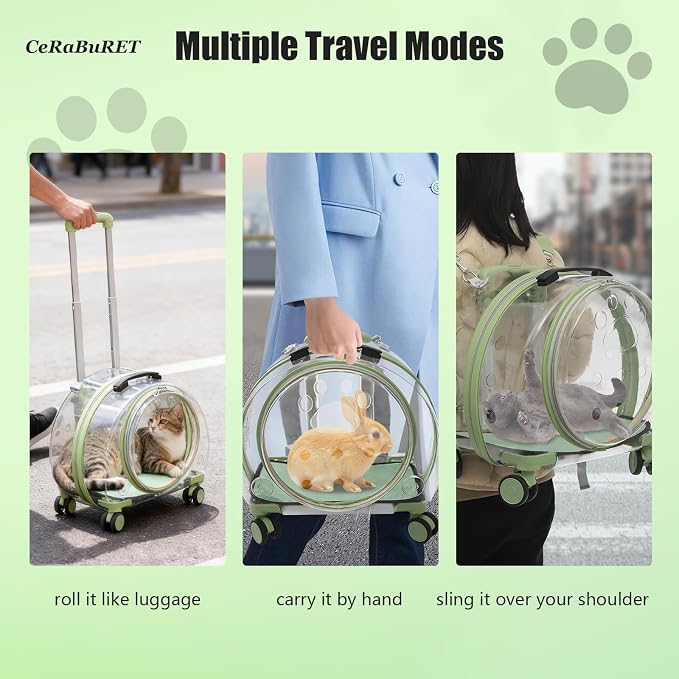 Transparent & Fully Breathable Hard Cat Carrier - Image 4