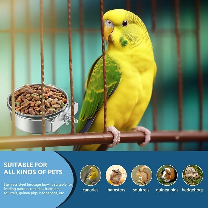 2Pcs Stainless Steel Bird Feeding Bowls, Small Bird Feeding Cup, Stainless - Image 6