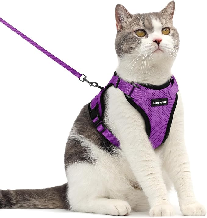 Dooradar Cat Harness and Leash Set, Escape Proof Safe Adjustable Kitten Vest by Dooradar