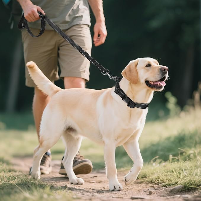 Joytale Reflective Dog Collar, Soft Neoprene Padded Breathable Nylon Pet Collar - Image 6