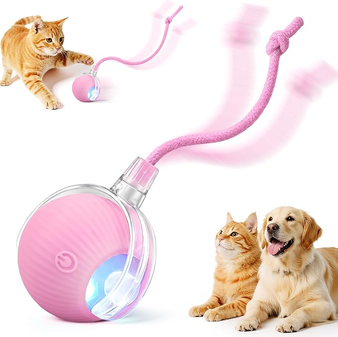 Interactive Electric Automatic Rolling Moving USB Rechargeable Self Activated by Unknown