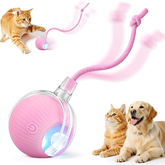 Interactive Electric Automatic Rolling Moving USB Rechargeable Self Activated by Unknown