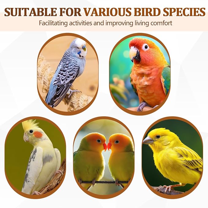 Sintuff 8 Pcs Bird Perches for Cage Accessories, Wooden Perch Rods Replacement - Image 6