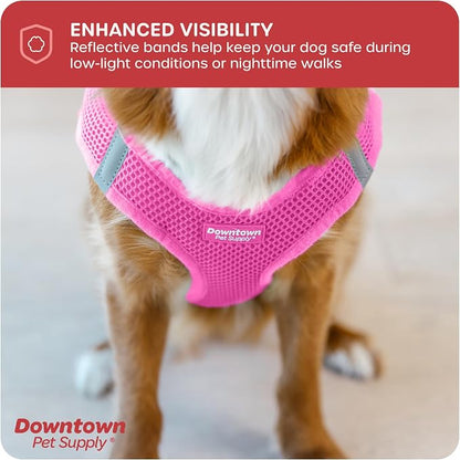 Downtown Pet Supply Step-in Dog Harness – No Pull, Adjustable Padded Mesh - Image 7