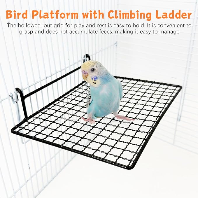 BNOSDM Stainless Steel Grid Platform - Image 6