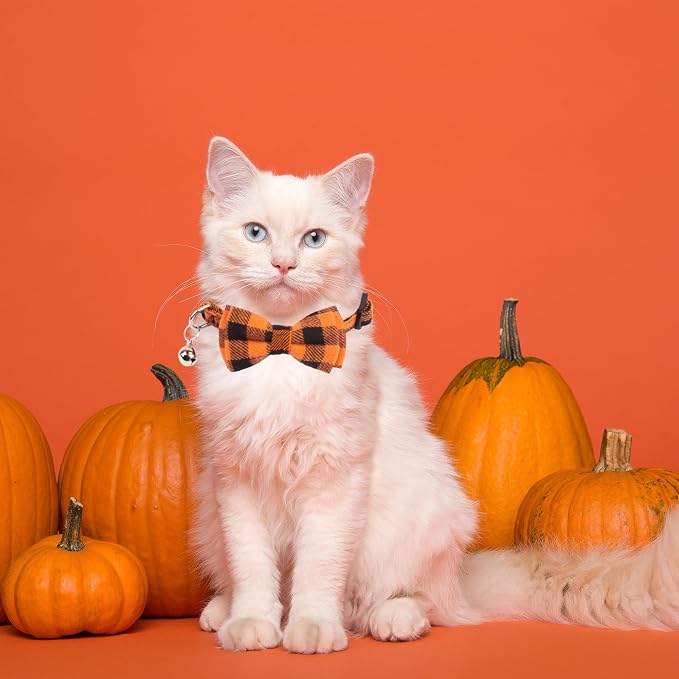 ADOGGYGO Halloween Cat Collars Breakaway - Image 3