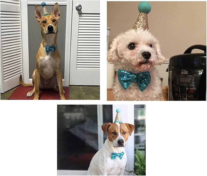 CheeseandU Pet Cute Birthday Party Cone Hat and Bow tie Collar Set - Image 8